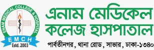 EMCH Logo